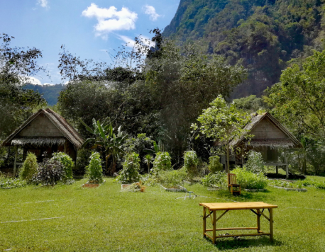 Farm to Table In Phuket’s Backyard