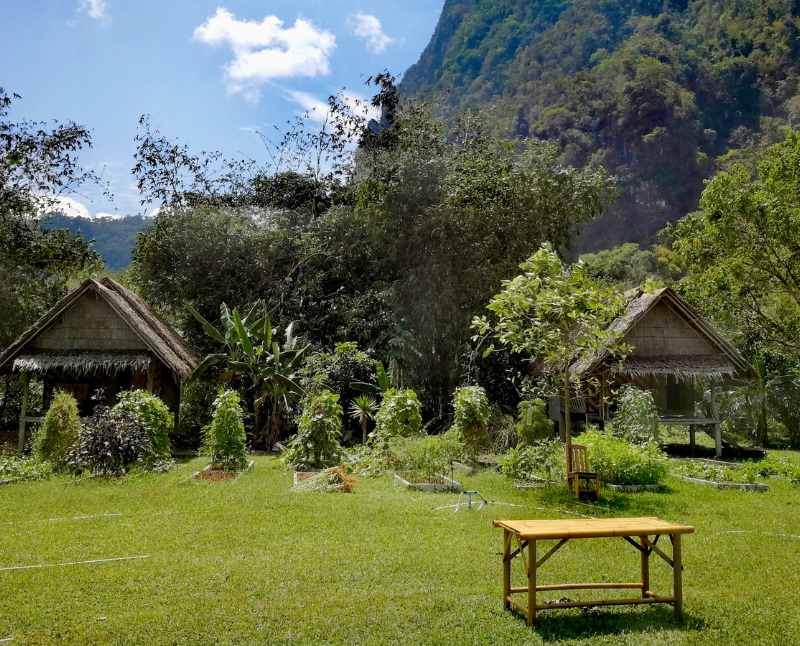 Farm to Table In Phuket’s Backyard