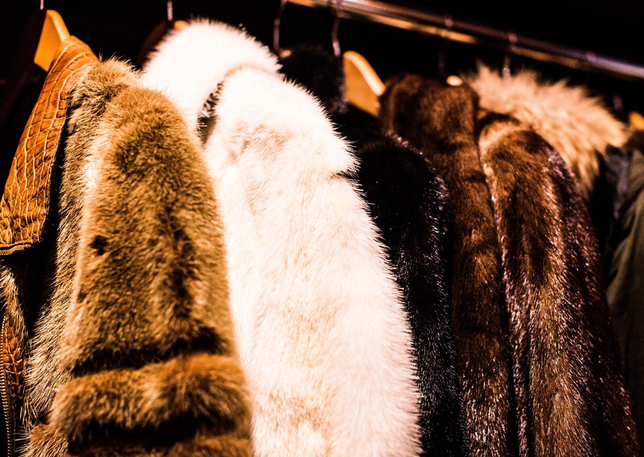 Dolce & Gabbana is Joining Luxury Fashion’s Fur-Free Zone