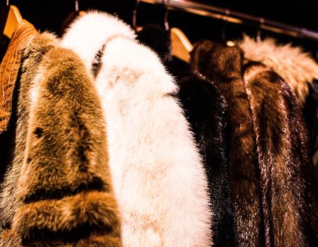 Dolce & Gabbana is Joining Luxury Fashion’s Fur-Free Zone