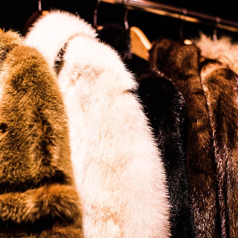 Dolce & Gabbana is Joining Luxury Fashion’s Fur-Free Zone