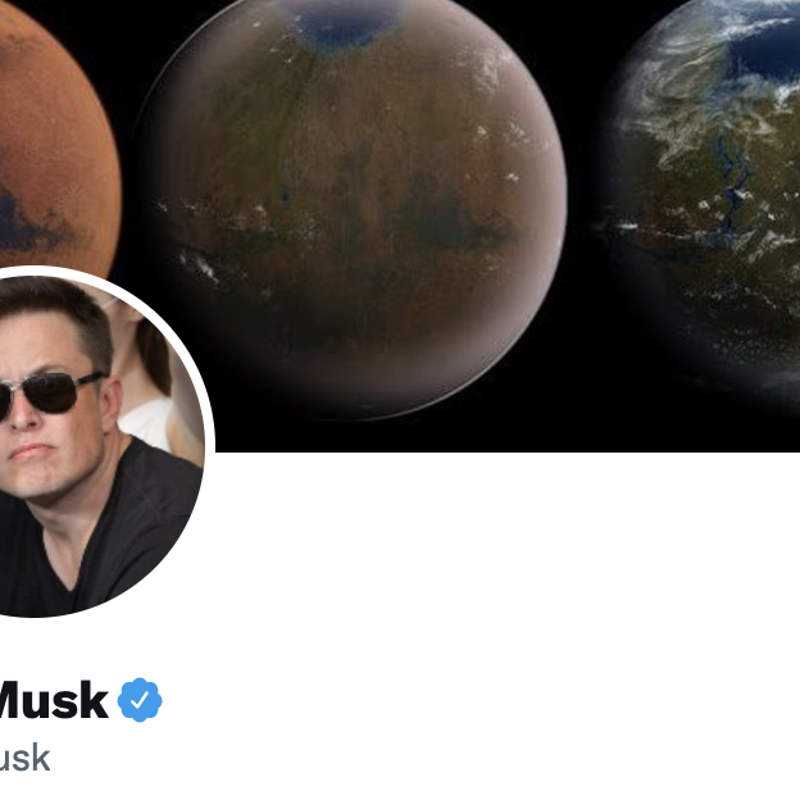 Why is Elon Musk Buying Twitter?