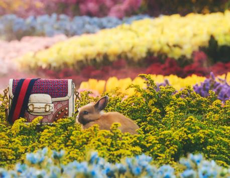 Gucci Greets the Year of the Rabbit with a Joyful Capsule Collection