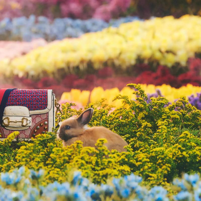 Gucci Greets the Year of the Rabbit with a Joyful Capsule Collection