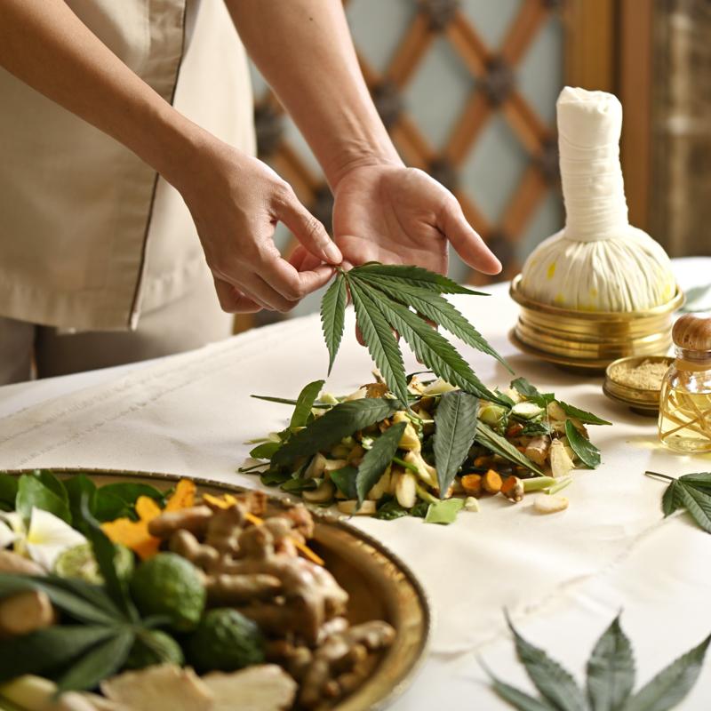 Experience Total Bliss with The Oriental Spa’s Cannabis Treatment