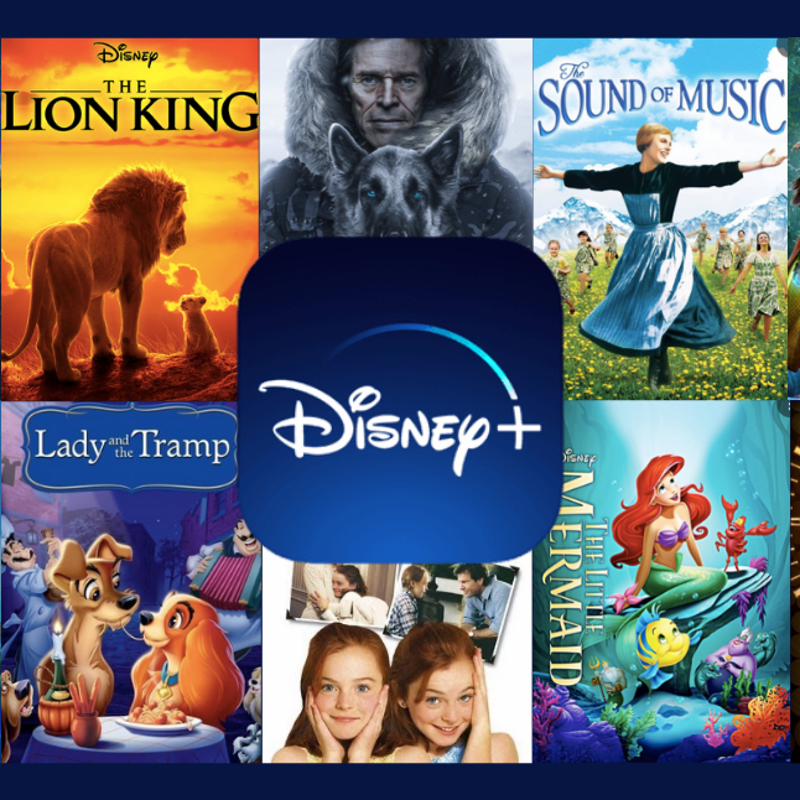 What To Watch On Disney Plus Hotstar