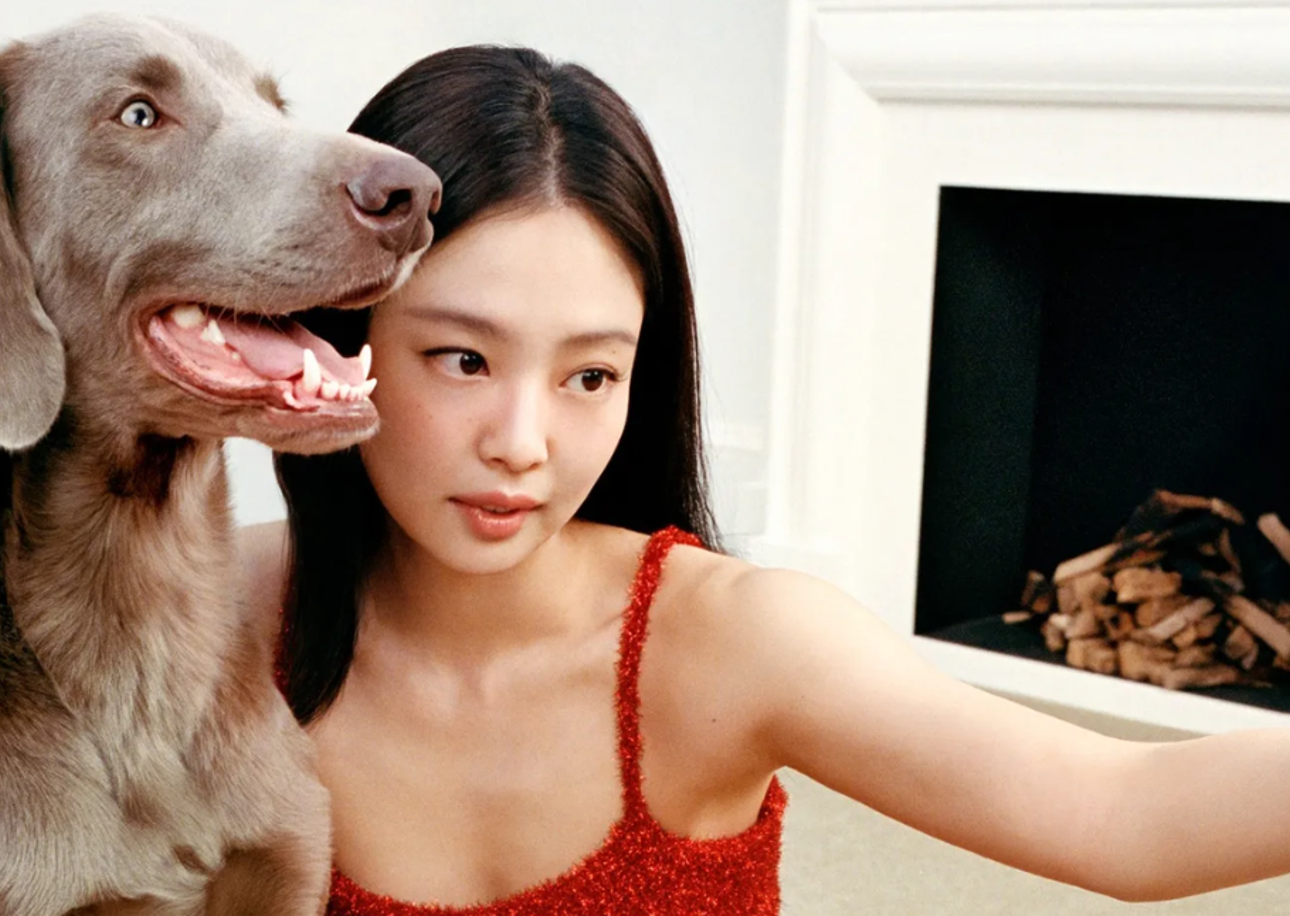 Pet Friendly Partnerships: High Fashion’s Ongoing Love Affair with Animal Ambassadors