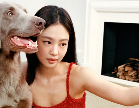 Pet Friendly Partnerships: High Fashion’s Ongoing Love Affair with Animal Ambassadors