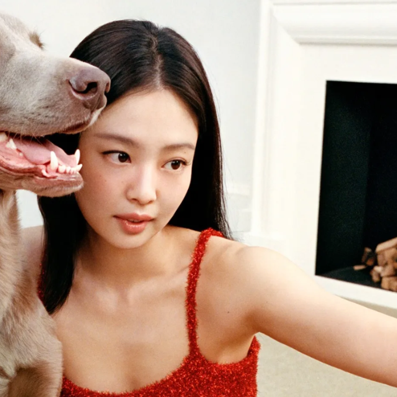 Pet Friendly Partnerships: High Fashion’s Ongoing Love Affair with Animal Ambassadors