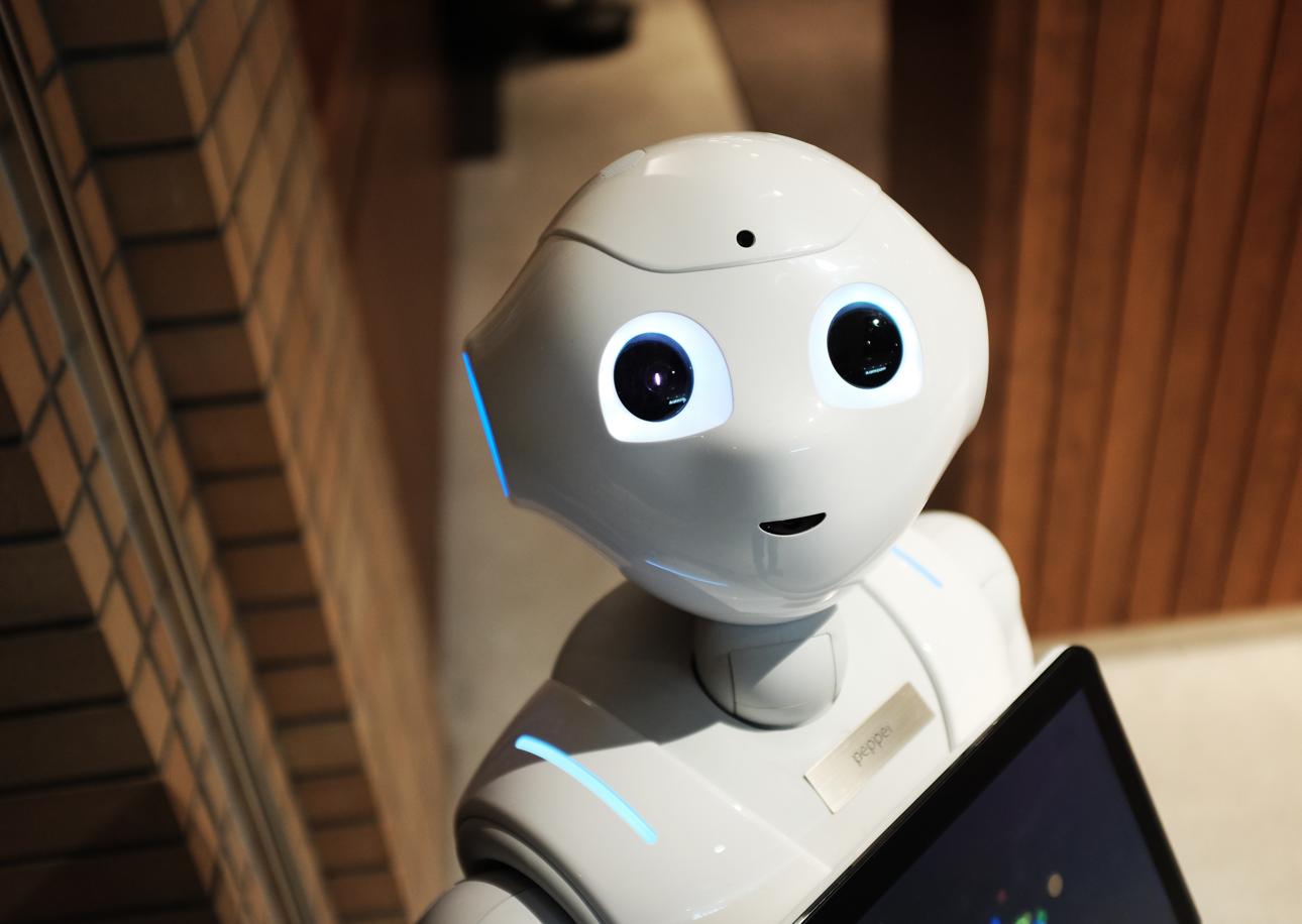 Checking In to Tomorrow: The Rise of Robots in Hotels