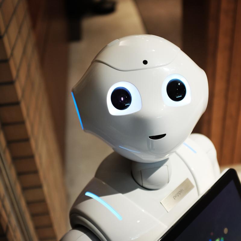 Checking In to Tomorrow: The Rise of Robots in Hotels