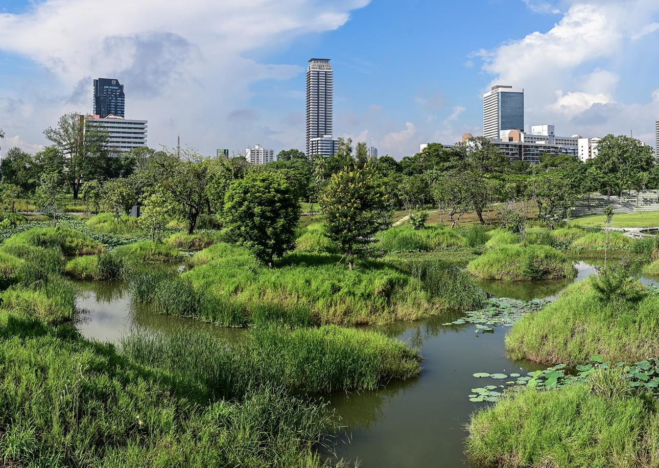 Benjakitti Forest Park: a big parks and rec win for Bangkokians