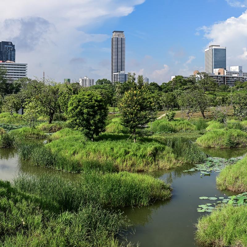 Benjakitti Forest Park: a big parks and rec win for Bangkokians