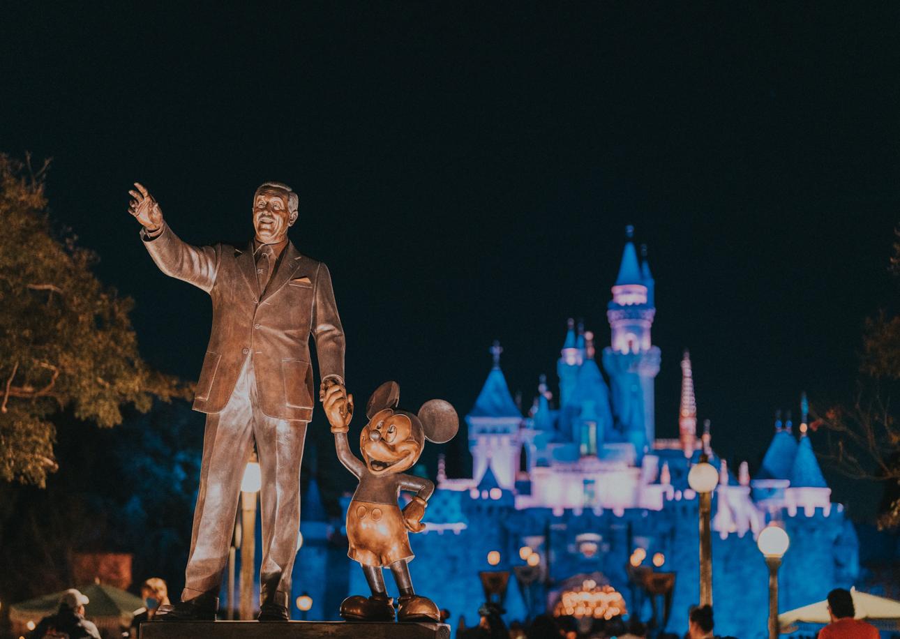 Visit all the Disney Parks on this 24-day Private Jet Adventure