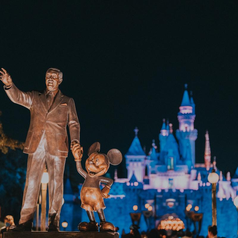 Visit all the Disney Parks on this 24-day Private Jet Adventure