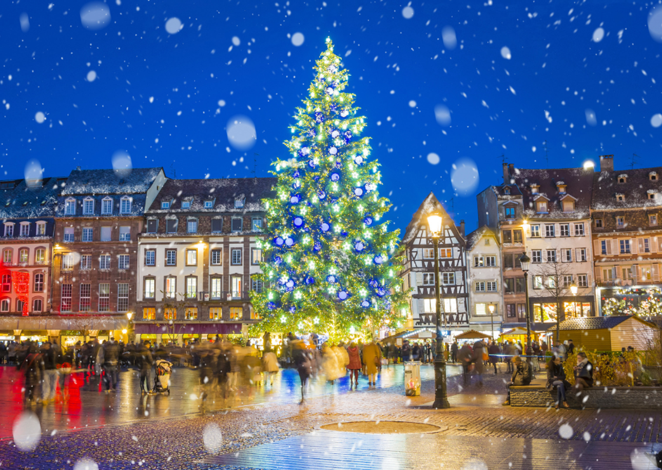 Merry Markets: A Whirlwind Tour of Christmas Wonders