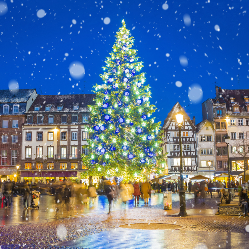 Merry Markets: A Whirlwind Tour of Christmas Wonders