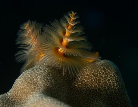 The Pull of the Seas: A Marine Photo Essay