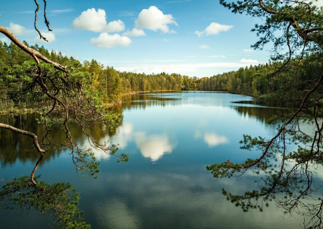 Koktail Report: Unplug and Reconnect with Nature—Finland Introduces the World’s First Phone-Free Tourist Island