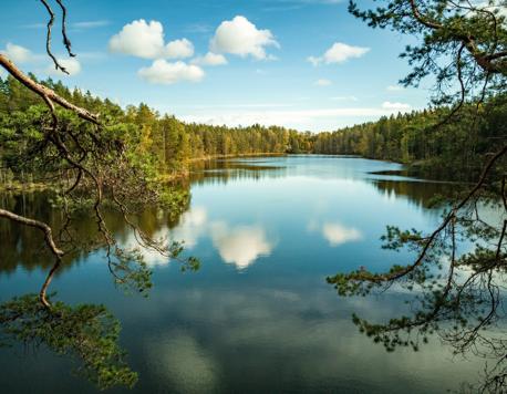 Koktail Report: Unplug and Reconnect with Nature—Finland Introduces the World’s First Phone-Free Tourist Island