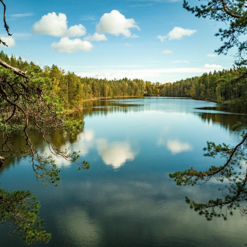 Koktail Report: Unplug and Reconnect with Nature—Finland Introduces the World’s First Phone-Free Tourist Island