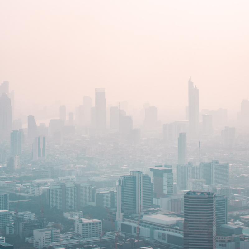 10 Tips to Cope with Air Pollution