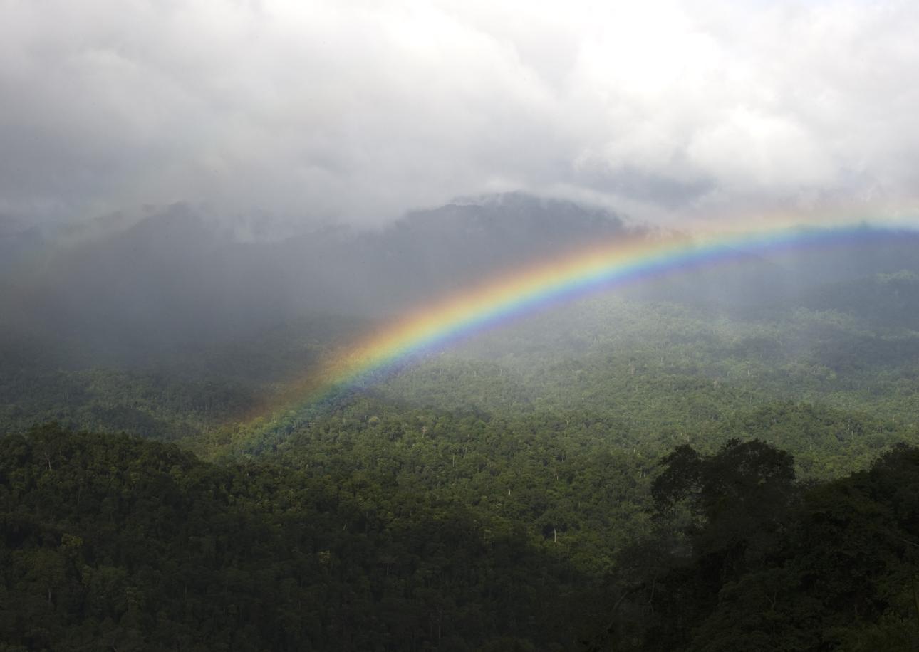 Tenasserim’s Jewel: Kaeng Krachan National Park