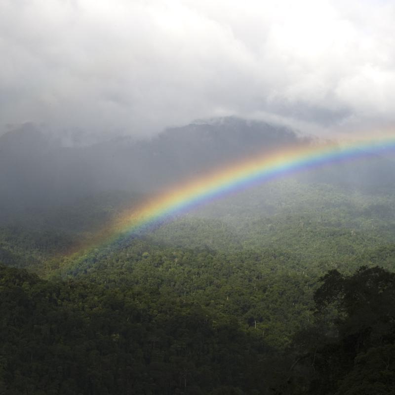 Tenasserim’s Jewel: Kaeng Krachan National Park