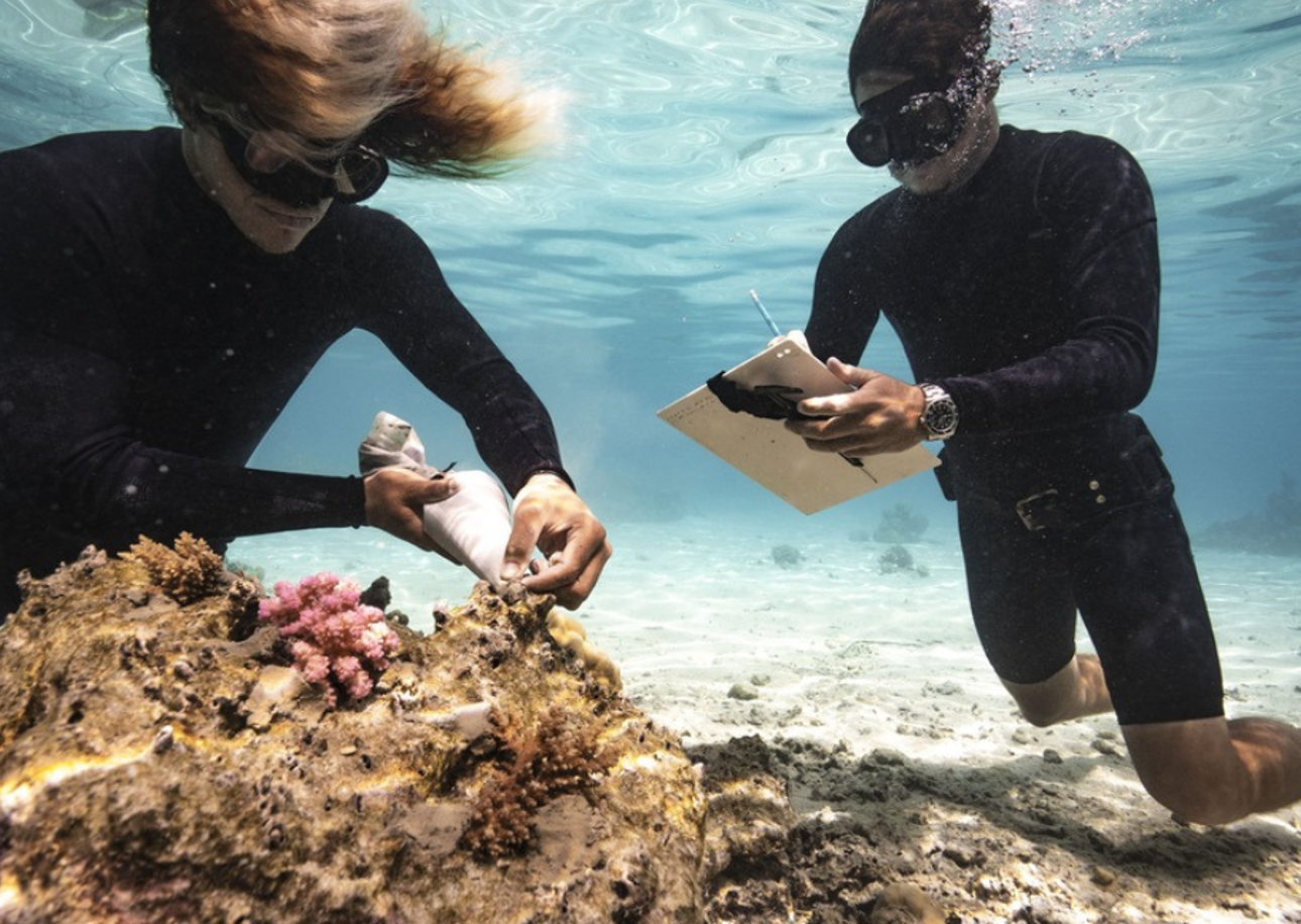 Rolex Perpetual Planet Initiative Teams Up with Coral Gardeners to Restore Coral Ecosystems