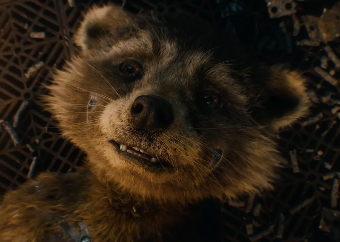 Rocket’s Redemption: ‘Guardians of the Galaxy Vol. 3’ Strikes a Powerful Chord Against Animal Cruelty