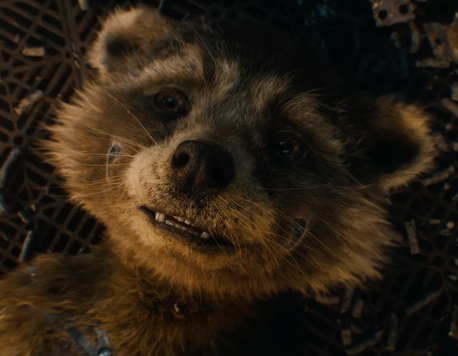 Rocket’s Redemption: ‘Guardians of the Galaxy Vol. 3’ Strikes a Powerful Chord Against Animal Cruelty