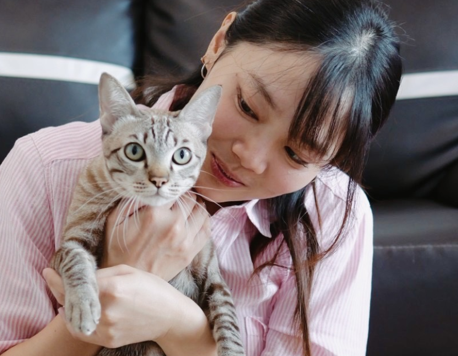 Bonded by Love: Stories of Friendship Between Pets and Their Humans