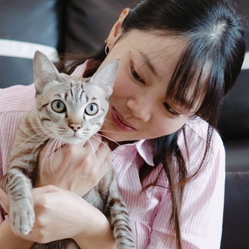 Bonded by Love: Stories of Friendship Between Pets and Their Humans