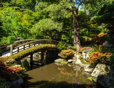 10 Magical Gardens to Visit in Japan