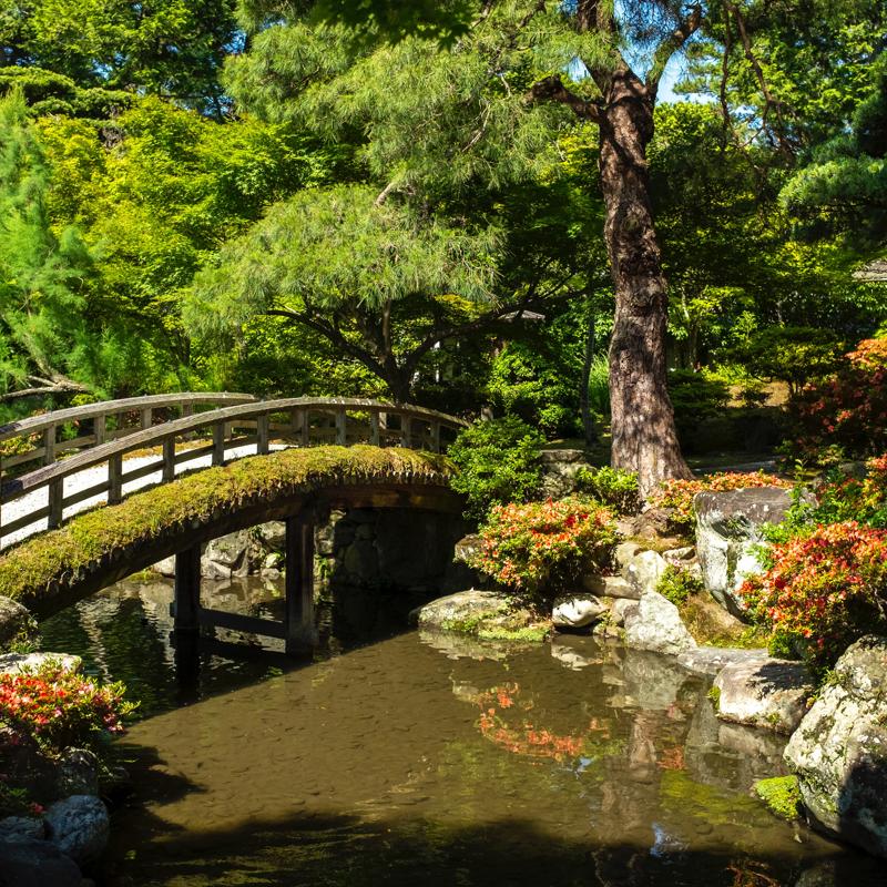 10 Magical Gardens to Visit in Japan