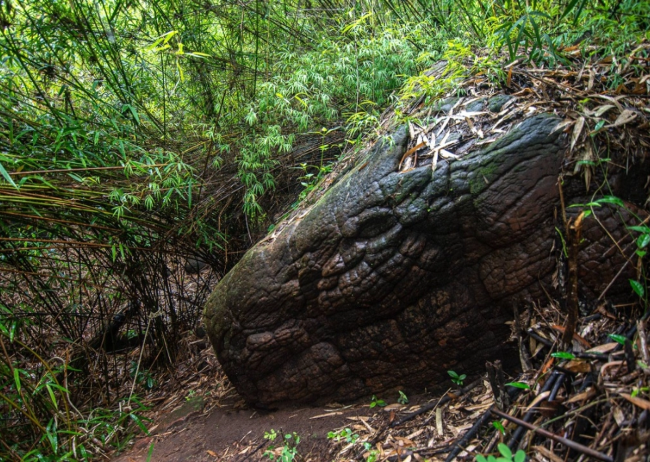 Naga Cave: An Eye-opening Hike to See the Mythical Serpent