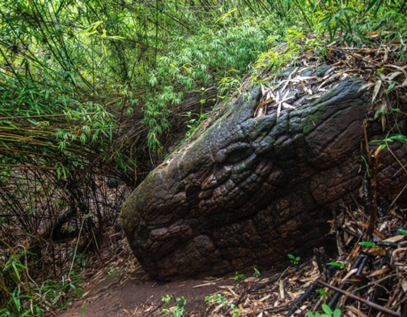 Naga Cave: An Eye-opening Hike to See the Mythical Serpent