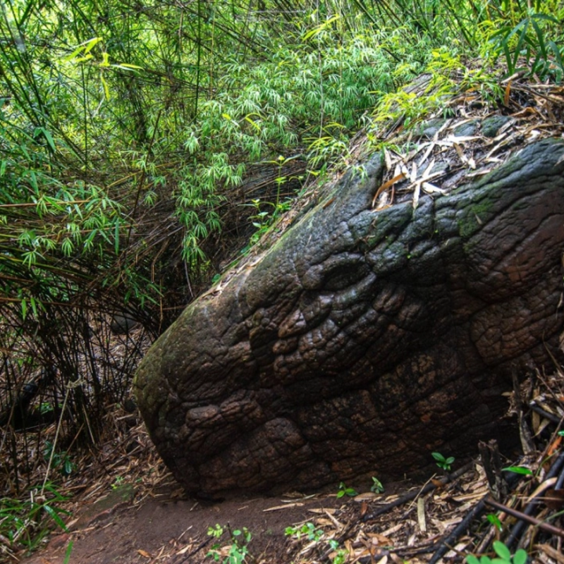 Naga Cave: An Eye-opening Hike to See the Mythical Serpent