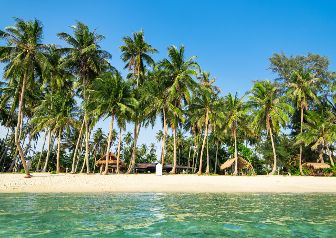 The Heart of Thailand’s Coconut Culture