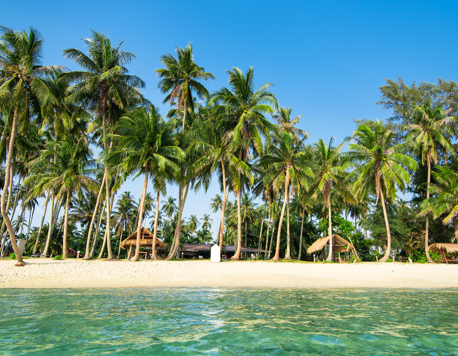 The Heart of Thailand’s Coconut Culture