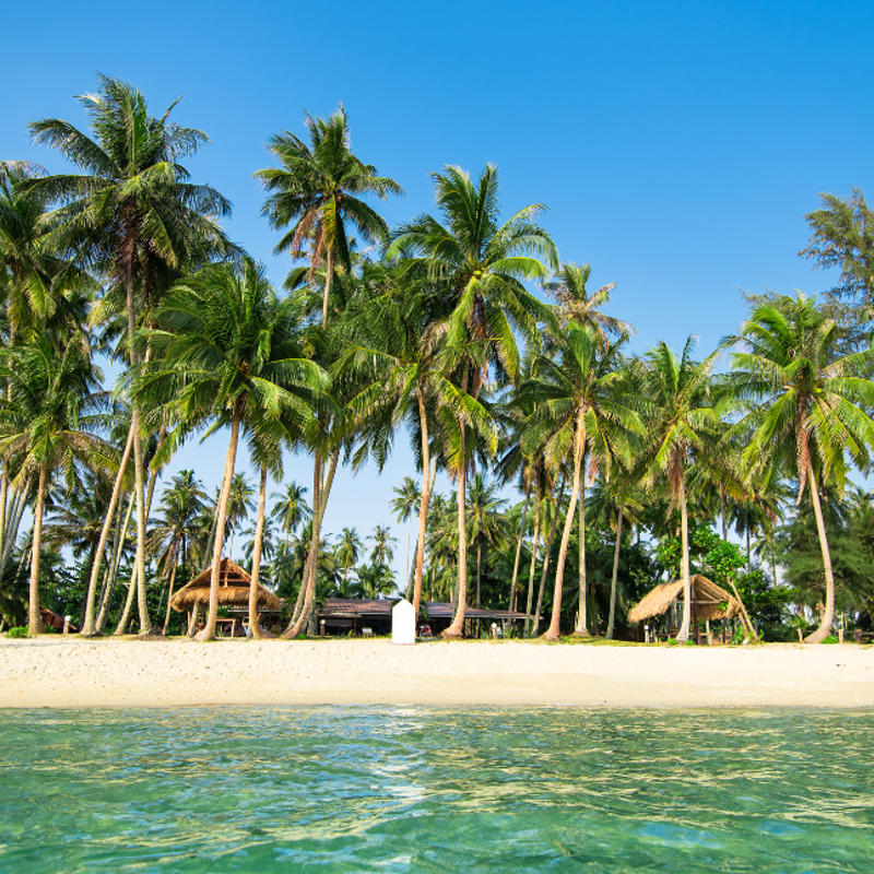 The Heart of Thailand’s Coconut Culture