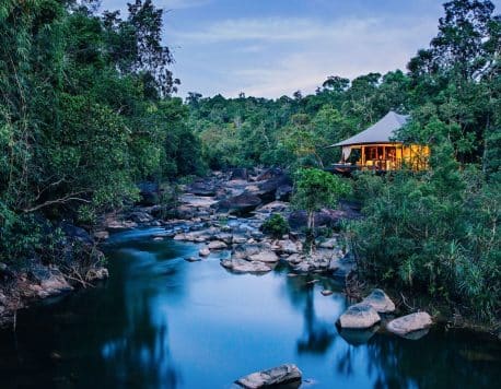 Immerse Yourself in Jungle Surrounds at Shinta Mani Wild: Luxury Meets Hands-On Sustainability