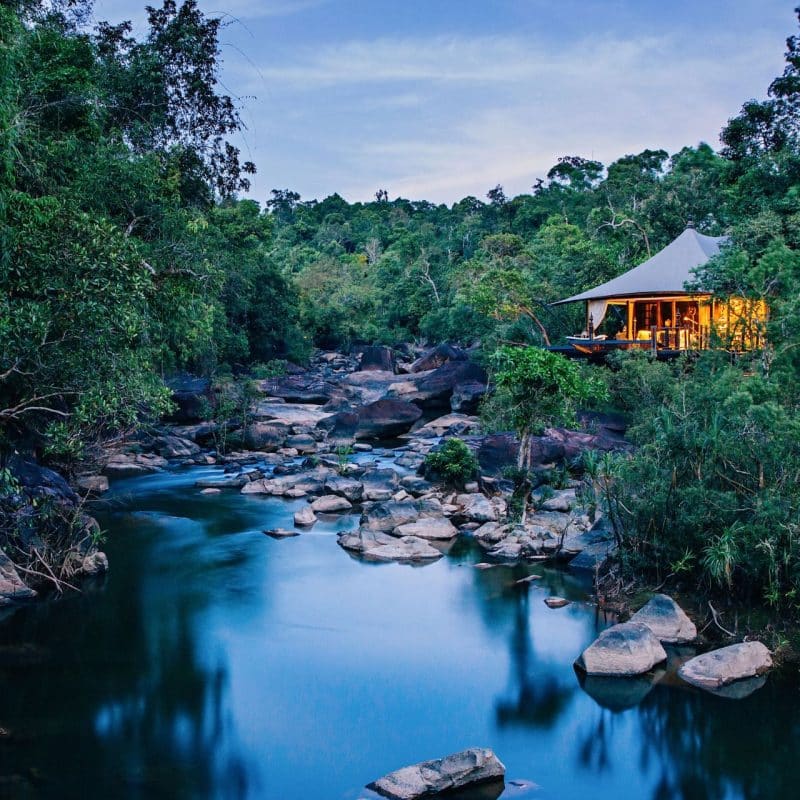 Immerse Yourself in Jungle Surrounds at Shinta Mani Wild: Luxury Meets Hands-On Sustainability